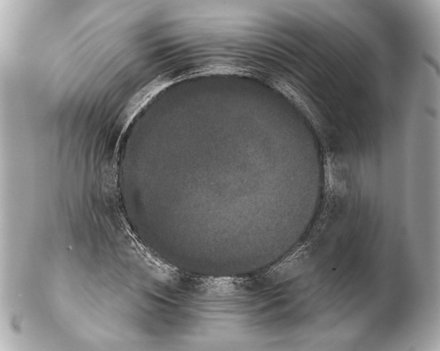 X0000102240828200808151751