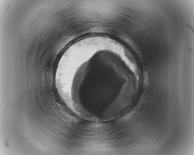 X0000102240829200808151751