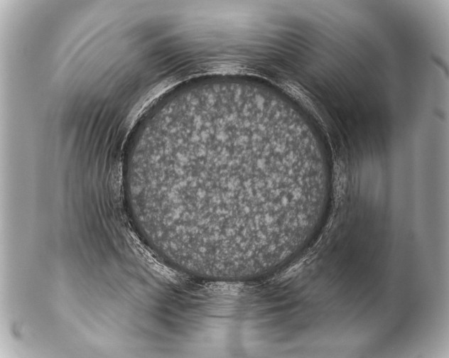 X0000102240831200808151751