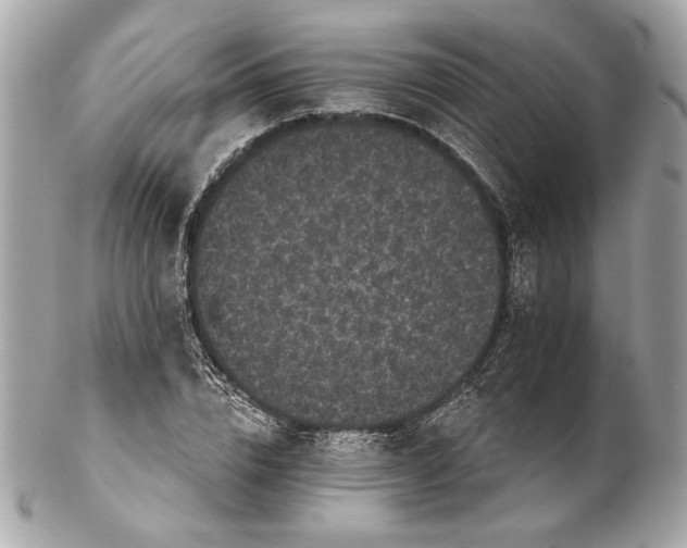 X0000102240832200808151751