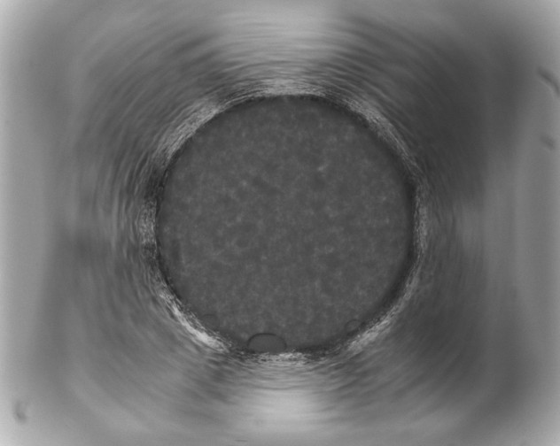 X0000102240833200808151751