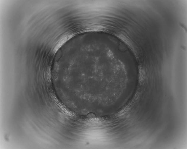 X0000102240834200808151752