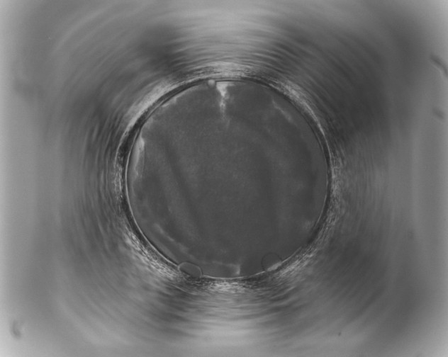 X0000102240835200808151752