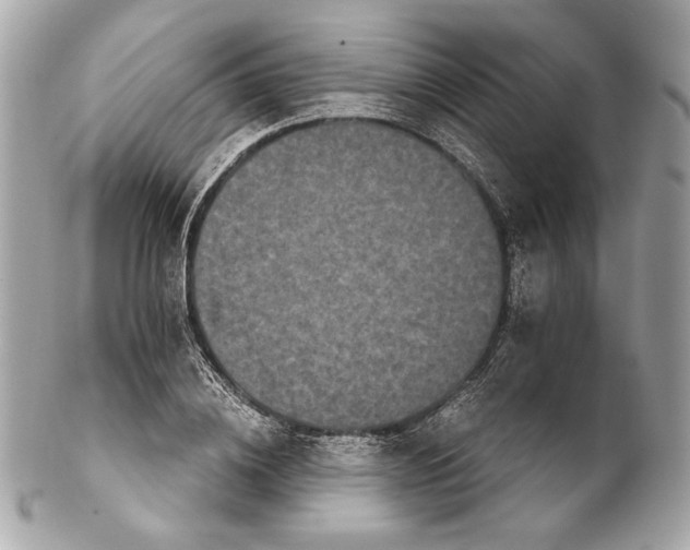 X0000102240836200808151752