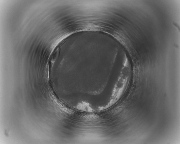 X0000102240838200808151752