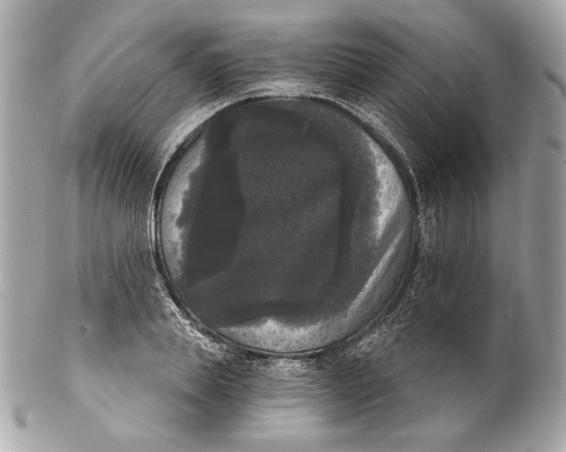 X0000102240839200808151752