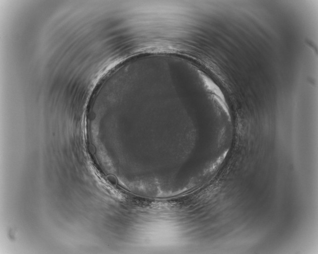 X0000102240840200808151752