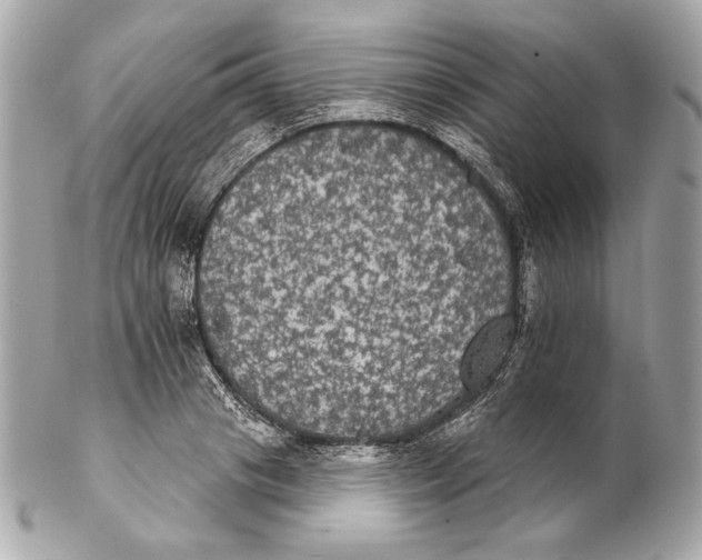 X0000102240841200808151752