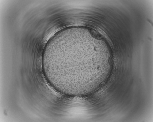 X0000102240842200808151752