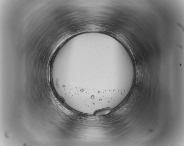 X0000102240843200808151752