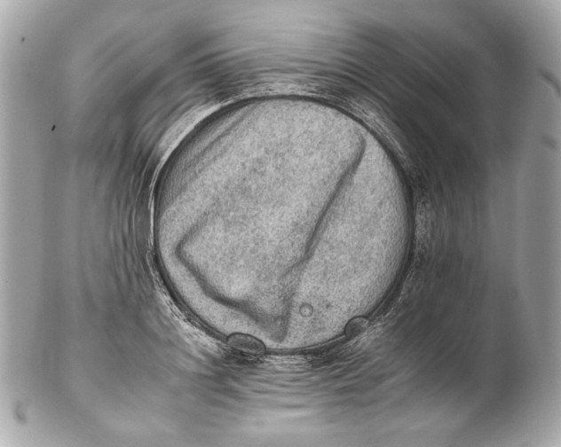 X0000102240844200808151752