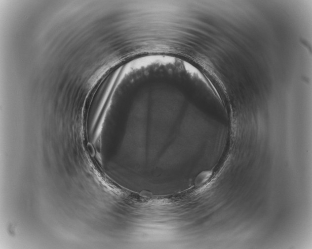 X0000102240845200808151752