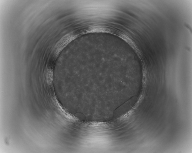 X0000102240849200808151752