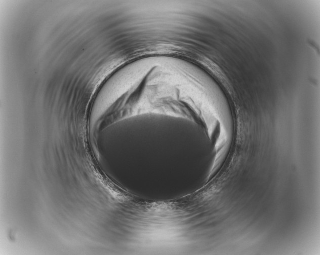 X0000102240850200808151752