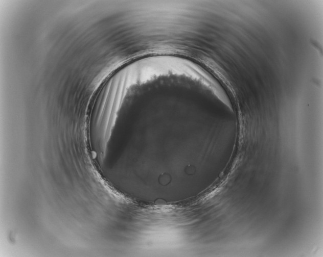 X0000102240853200808151752