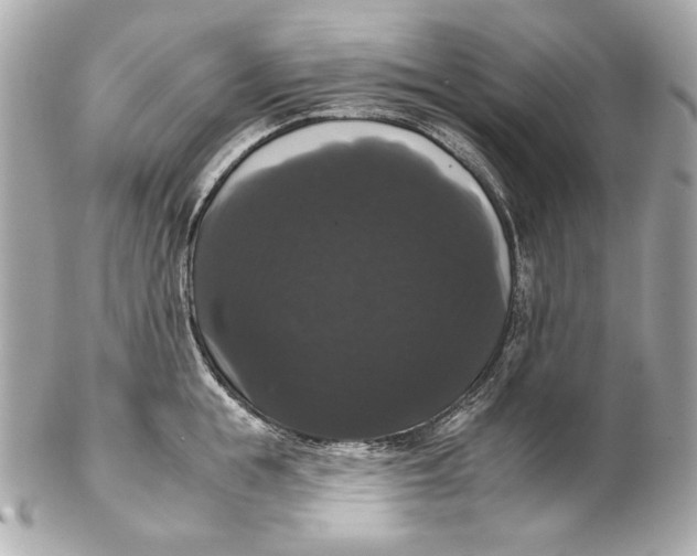 X0000102240855200808151752