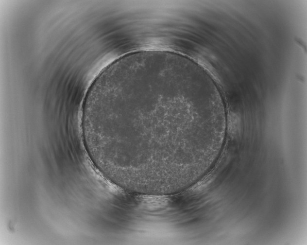 X0000102240856200808151752