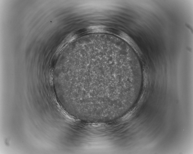 X0000102240857200808151752