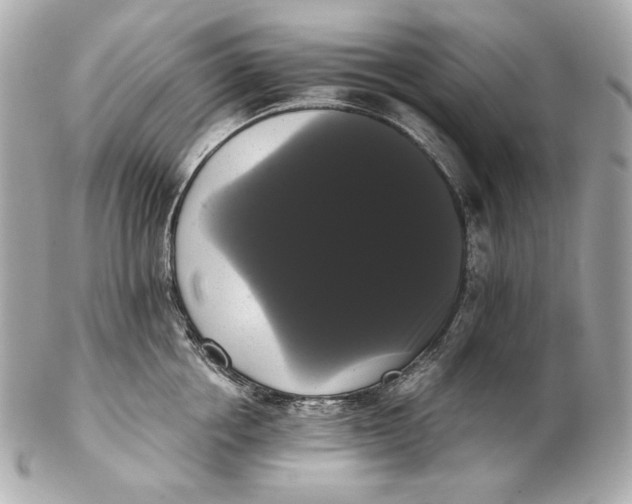 X0000102240858200808151752