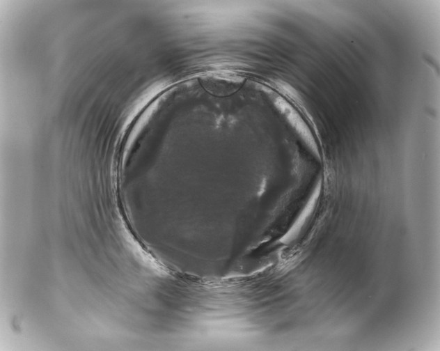 X0000102240859200808151752