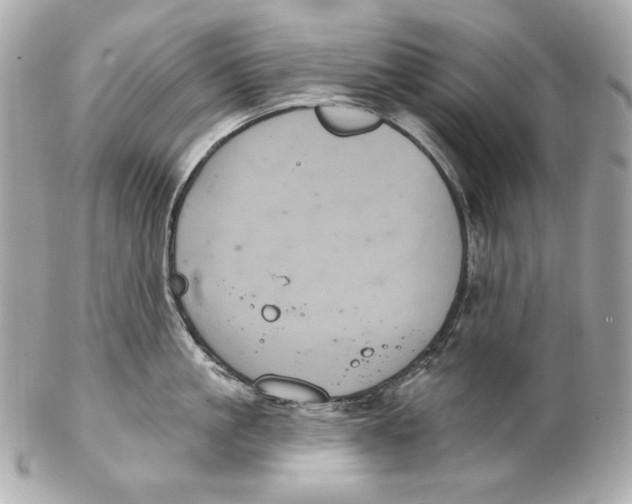 X0000102240861200808151752