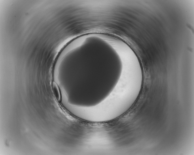 X0000102240862200808151752