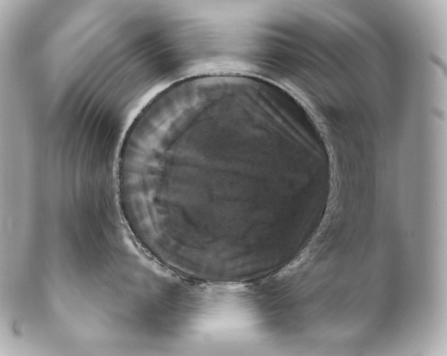 X0000102240864200808151752