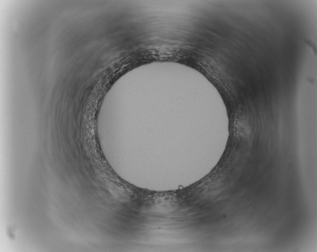 X0000102240865200808151751