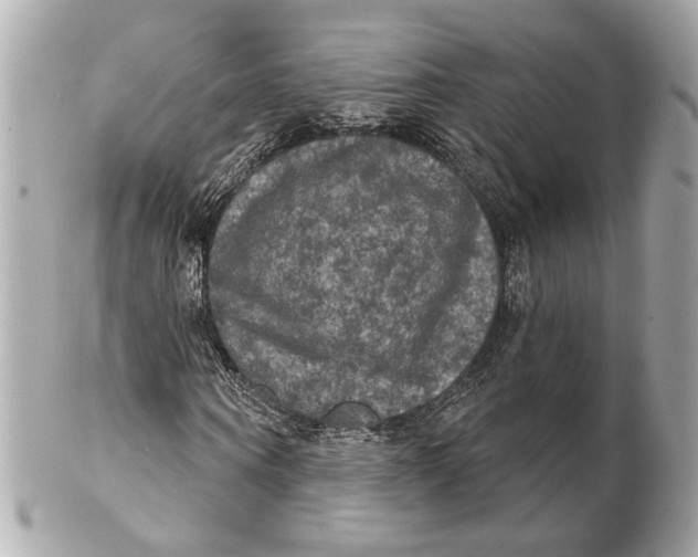 X0000102240866200808151751