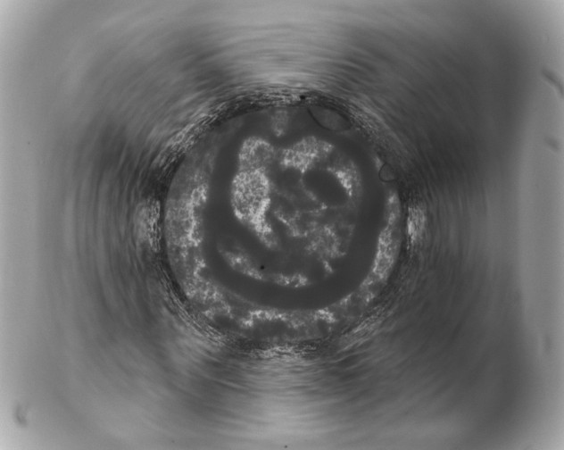 X0000102240867200808151751