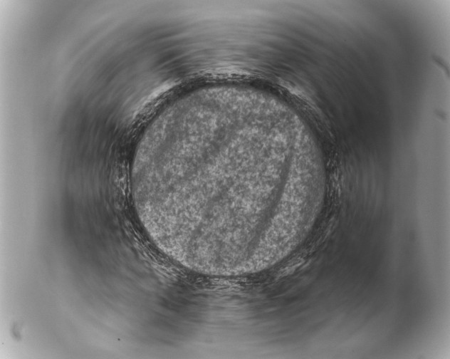 X0000102240870200808151751