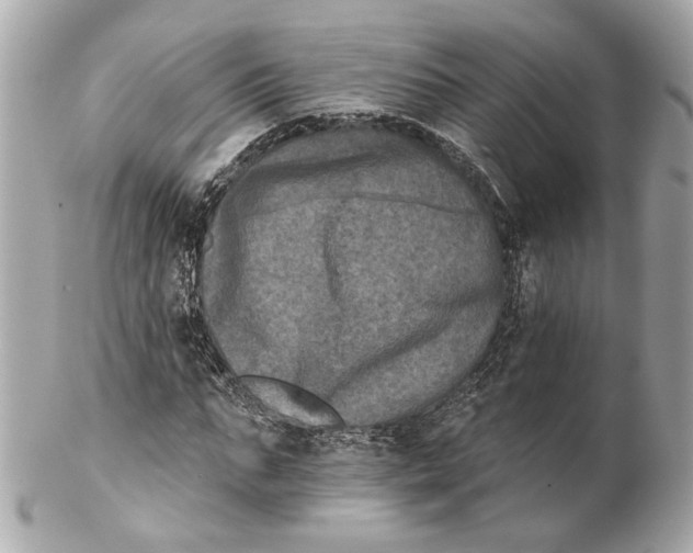 X0000102240871200808151751