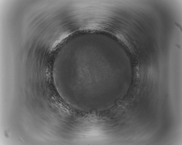 X0000102240872200808151751