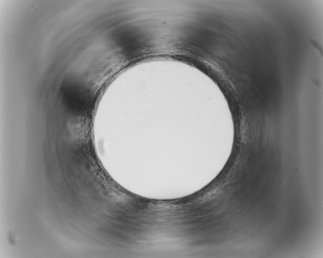 X0000102240873200808151751