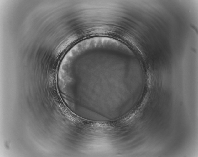 X0000102240874200808151751