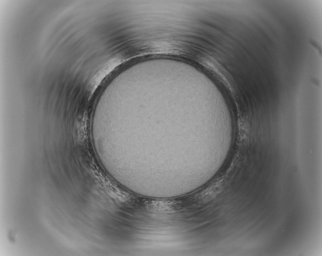 X0000102240875200808151751