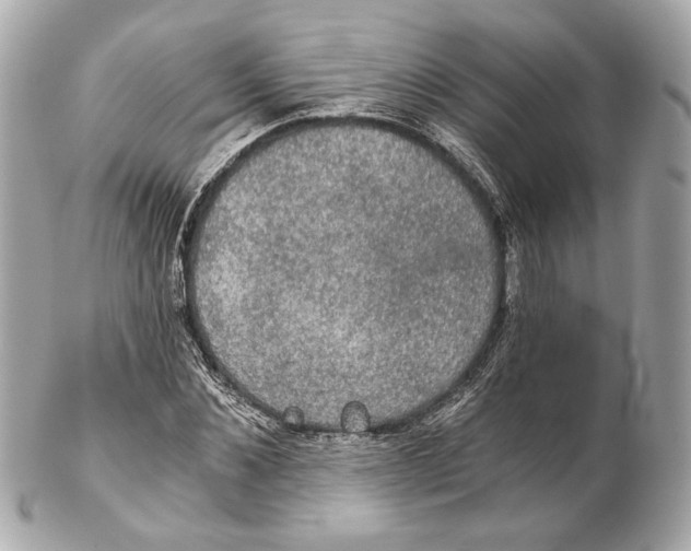 X0000102240876200808151751