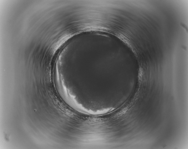 X0000102240877200808151751