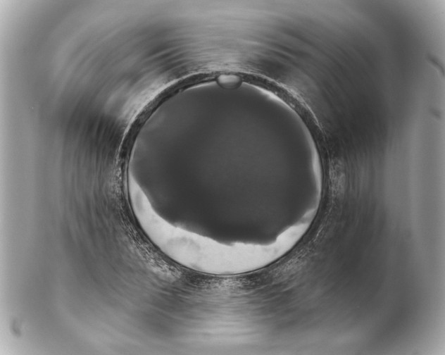 X0000102240879200808151751