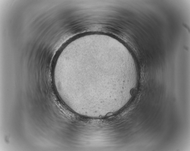 X0000102240880200808151751