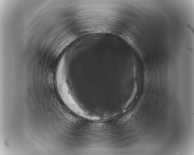 X0000102240881200808151751