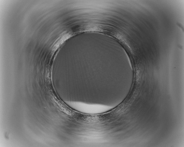 X0000102240882200808151751