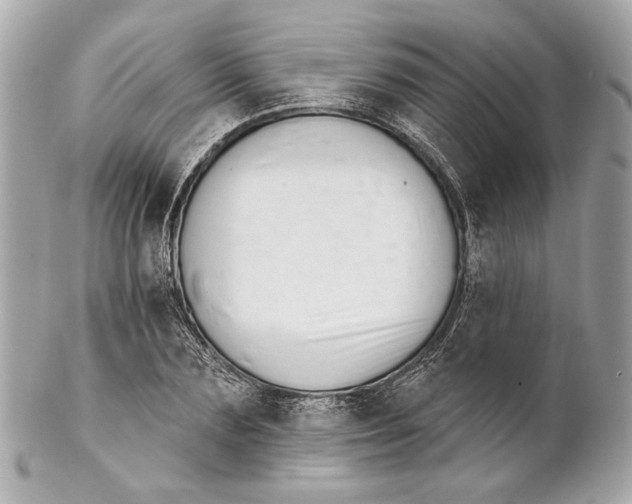 X0000102240883200808151751