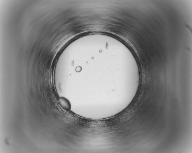 X0000102240887200808151751