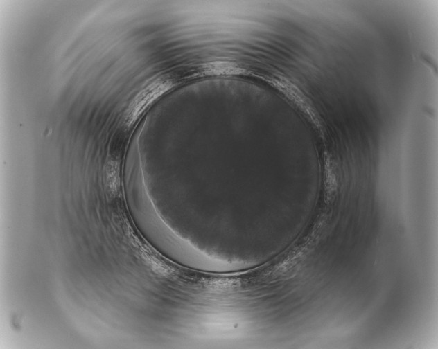 X0000102240889200808151751