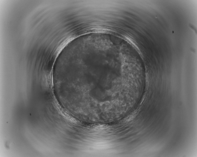 X0000102240891200808151751