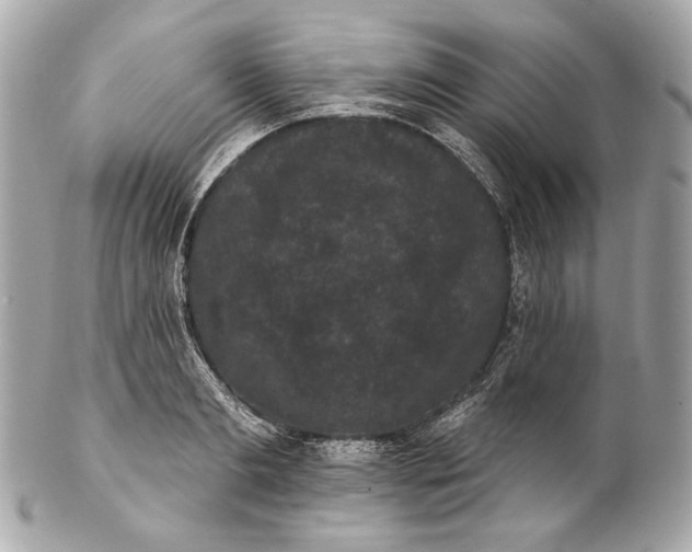 X0000102240893200808151751