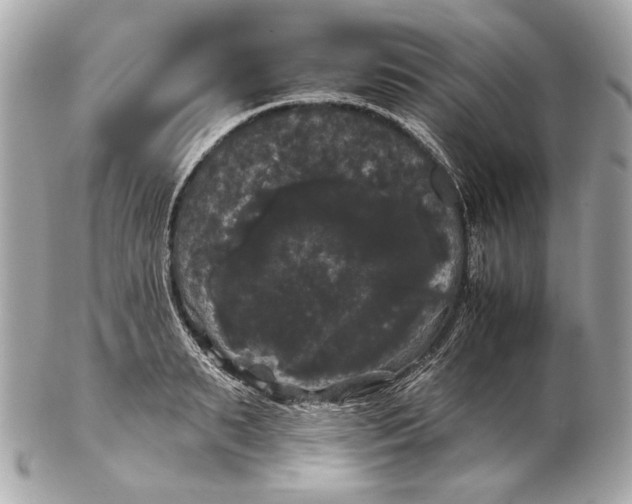 X0000102240895200808151751