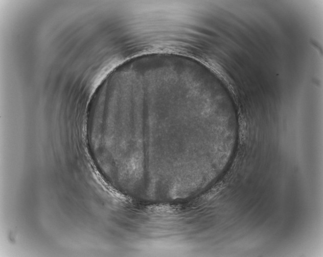 X0000102240896200808151751