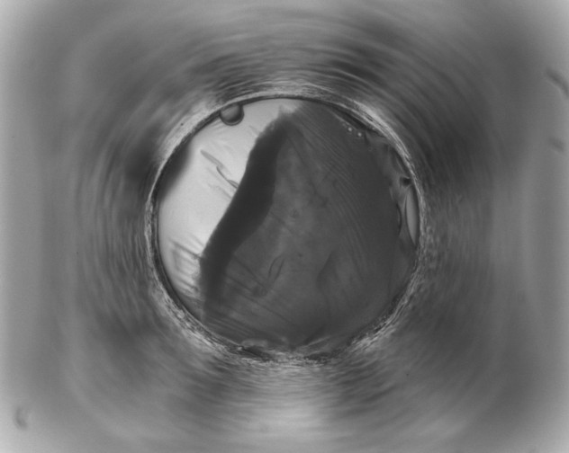 X0000102240899200808151751